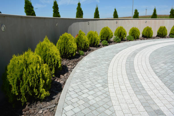 Best Driveway Paving Contractor  in Cassville, WV